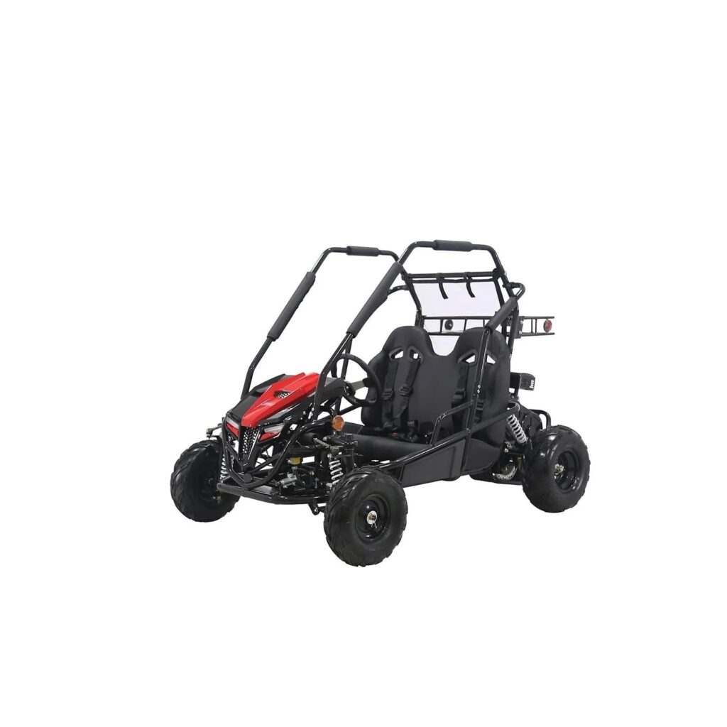 196cc Gas Powered Dual Seat Go-Karts
