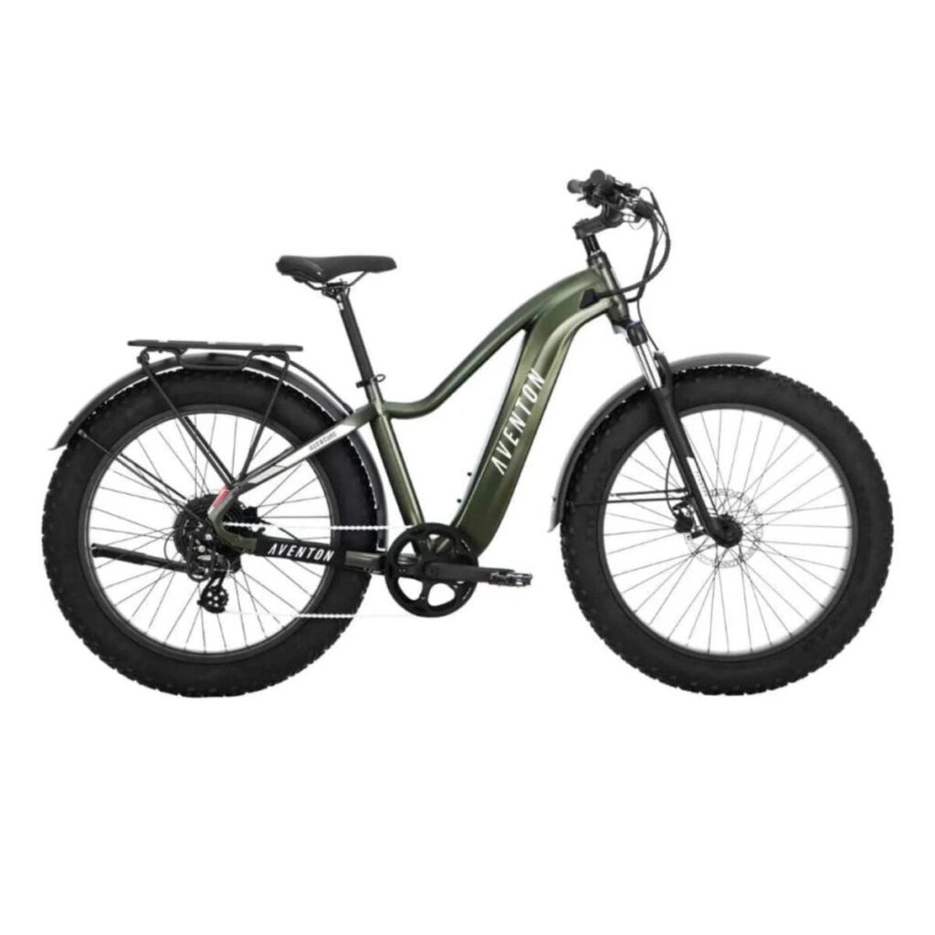 2 – Electric Fat Tire Bike for Every Adventure