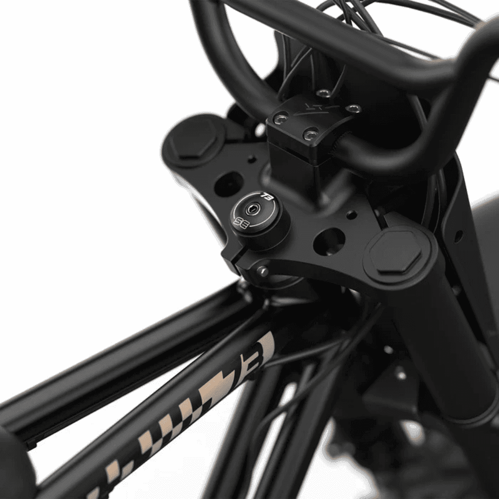 Retro-Style All-Terrain Electric Bike - Image 4