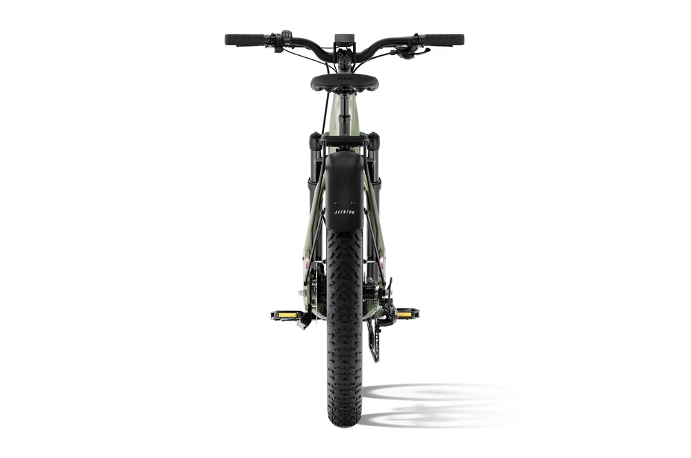 Fat-Tire Electric Bike with GPS and 4G - Image 5
