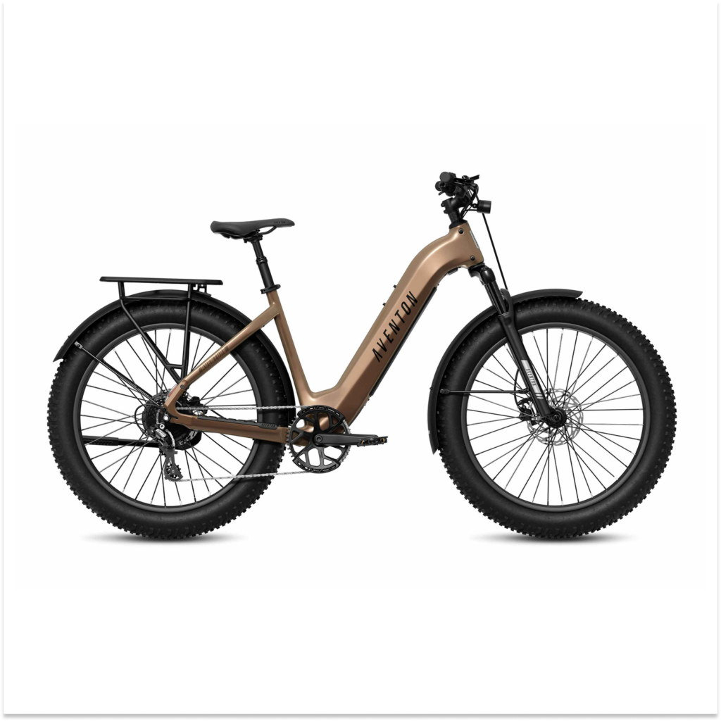 3 Step-Through for E-bike