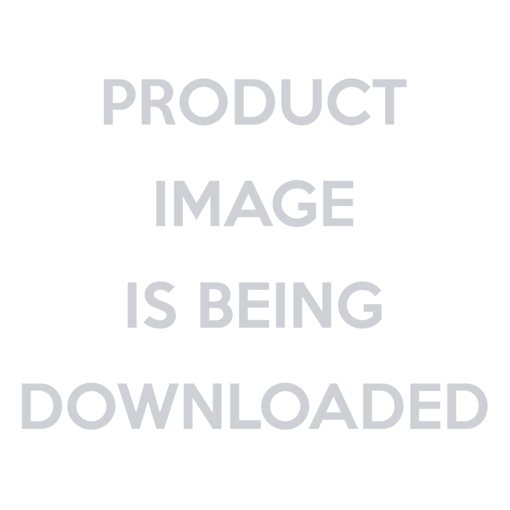 Revi Bikes Cheetah 48V 750W Hub Motor Fat Tire Electric Cruiser Bike